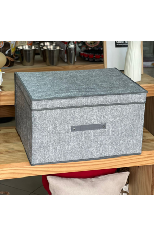 Caixa Organizadora Multiuso Mod 4 50cm