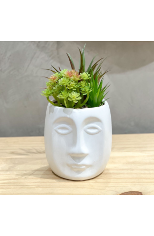  Vaso de Cerâmica com Planta  Mod. 1