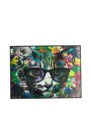 Quadro Gato Colorido Acetato MDF -  29cm X 39cm X 1,8cm