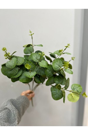 Buquê de Eucalipto Verde Escuro - 50cm