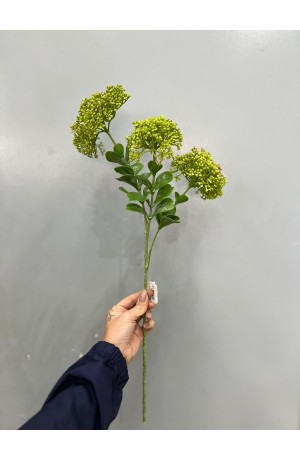 Haste de Telephium Verde - 58cm ( Artificial )