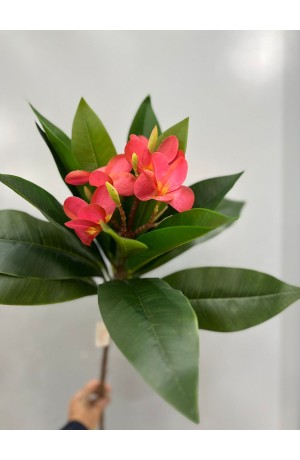 Haste de Jasmim Manga 90cm - Rosa (Artificial)