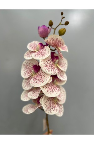 Haste de Orquidea Phalaenopsis - Branca com Vinho 74cm (Artificial)