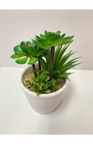 Vaso Branco Bonsai Grande Mod.1