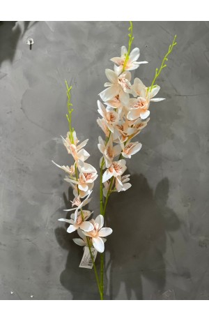 Haste de Orquidea Laranja