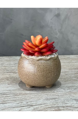 Vaso Areia com Suculenta Redondo Urban MOD.4